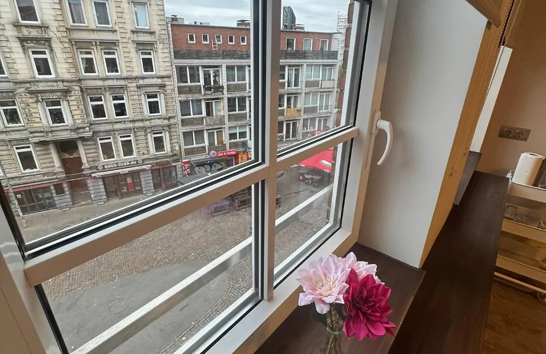 Suite-Pauli-1